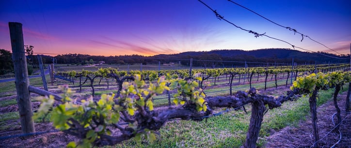 taltarni-vineyards